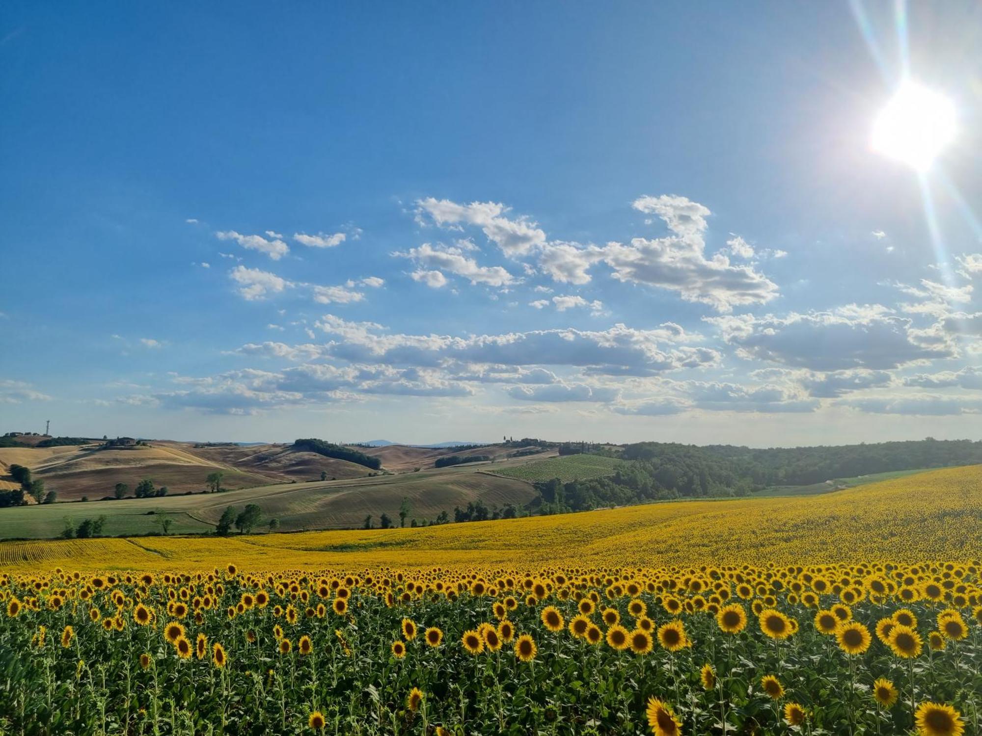 Farm stay Melariano